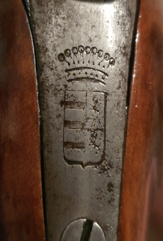 Blason de comtes sur pistolet a identifié