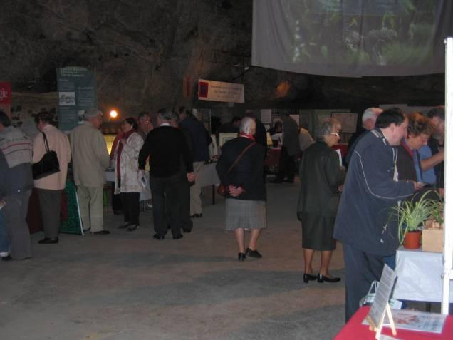 Saumur 2008 - les visiteurs sont sur les stands