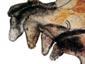 Chevaux de la grotte Chauvet.jpg