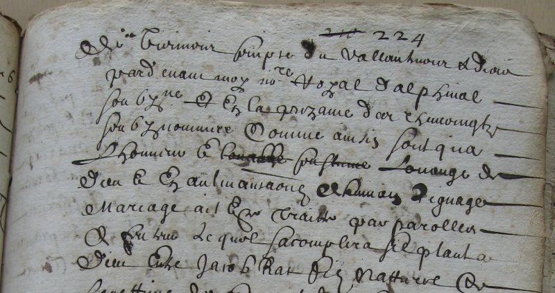 Fichier:CM RAT MARRON 01.jpg