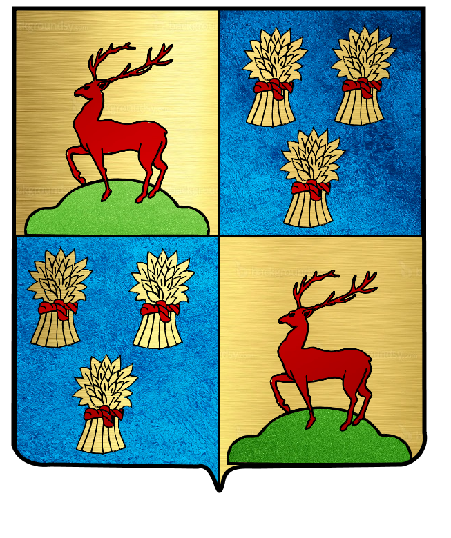 Brosse (de) ou des Brosses (variante Bergiron)