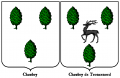 Chaubry Chaubry