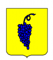 Vins Vins