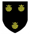 Robert Robert