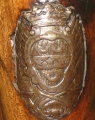 Franquetot (de) Franquetot (de)